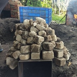 屎提夫-地瓜甜不甜