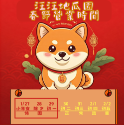 大年初三 正式營業